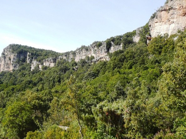 Seui, Foresta demaniale di Montarbu, falesie 