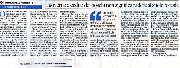 Il governo a ceduo dei boschi non significa radere al suolo foreste, 10 febbraio 2016