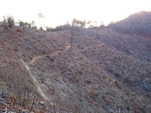 Colli Euganei, Torreglia, versante nord