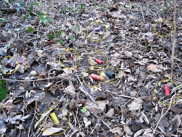 bossoli abbandonati in campagna da cacciatori