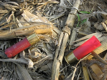 bossoli abbandonati in campagna da cacciatori