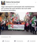 Debora Serracchiani banderuola&nbsp;2