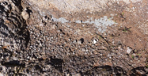 Nogarole Vicentino, pallini di piombo nel terreno