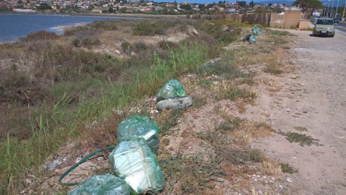 Saline di Quartu, Lungomare Poetto, bonifica discariche abusive (26 aprile 2016)