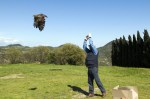 Padova, Centro recupero animali L.I.P.U., liberazione&nbsp;rapaci
