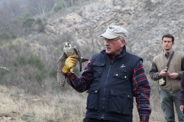 Padova, Centro recupero animali L.I.P.U., liberazione rapaci