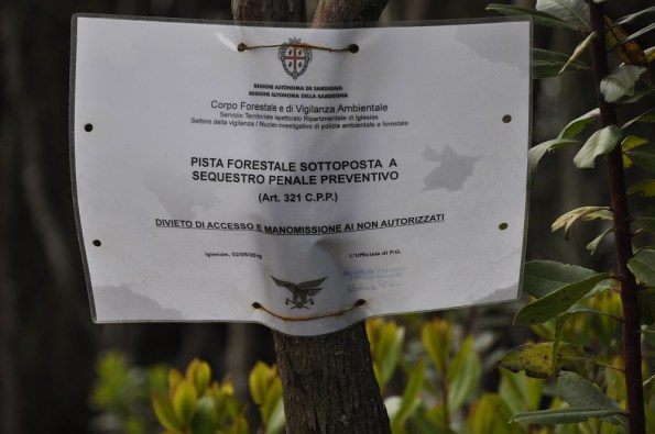 Domus novas, Foresta demaniale del Marganai, loc. Isteri, strada forestale sequestrata (maggio 2016)