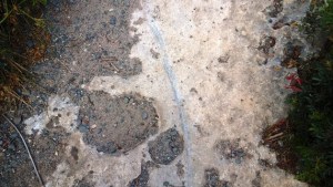 Cagliari, Sella del Diavolo, danni da percorrenza da mountain bike