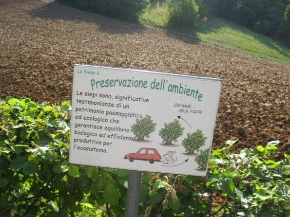 siepi, validi aiuti per le nostre città