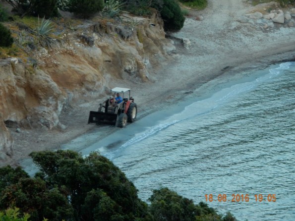 Villasimius, Porto Luna, ruspa sulla spiaggia, 18 agosto 2016