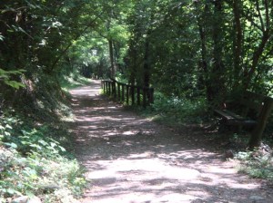 sentiero sulle sponde del Fiume Brenta