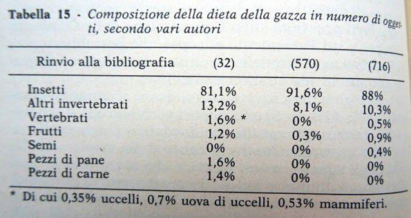 dieta-gazza-in-numero-di-oggetti