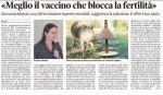 mattino_2016-10-23_este-proposto-vaccino-x-blocco-fertilita-cinghiali