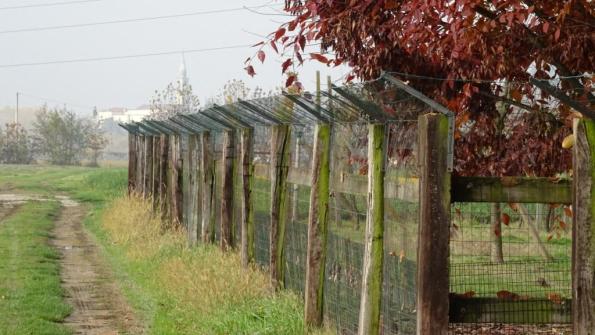 Veggiano (PD), esempio di metodo ecologico: recinzione anti-intrusione predatori realizzata da privati a protezione di un gran numero di animali da cortile. Nessun miracolo dell’ingegneria è servito, solo un piccolo accorgimento!