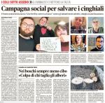 mattino_2016-11-09_colli-campagna-cpp-pro-sterilizzazione-cinghiali-1