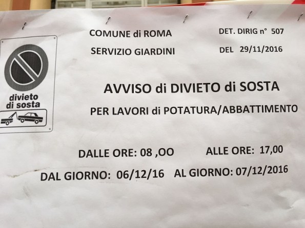 Roma, Via Gulli, avviso per divieto di sosta finalizzato a interventi di potatura/taglio alberi
