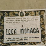foca-monaca-manifesto-lutto