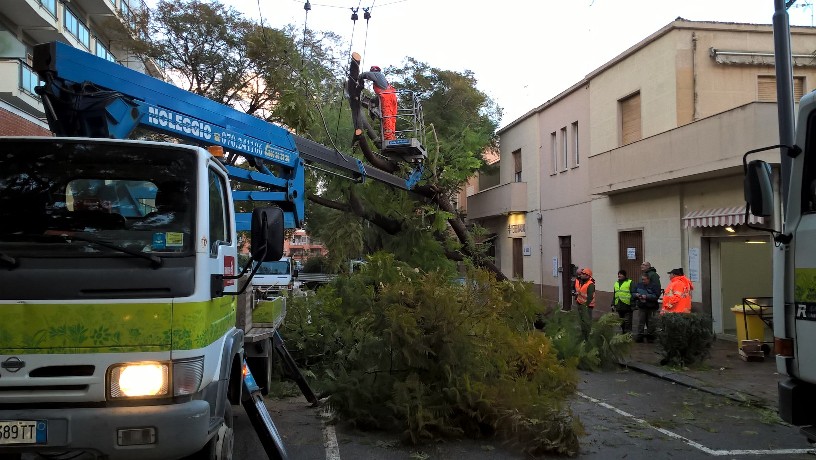 Cagliari, Via Milano, intervento di emergenza per un albero caduto (21 gennaio 2017)