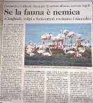 L’Unione Sarda, 12 maggio&nbsp;2017