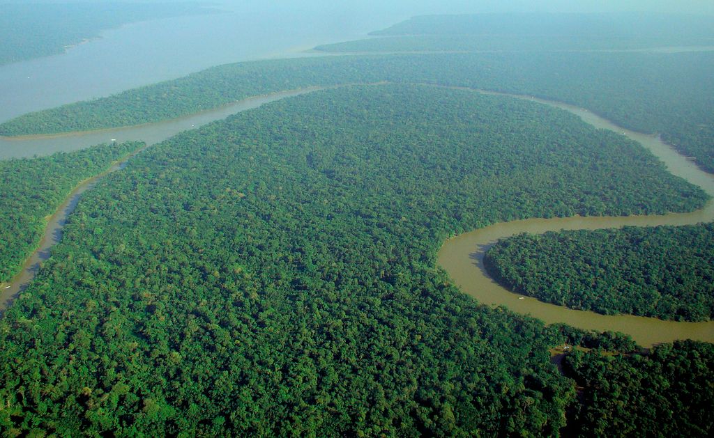 1024px-Aerial_view_of_the_Amazon_Rainforest