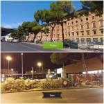 Alberi Stazione prima e&nbsp;dopo