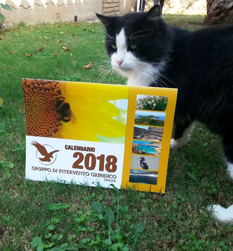 foto calendario x blog