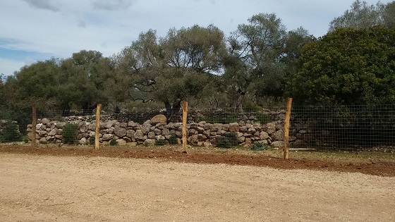 Baunei, Golgo, recinzione (marzo 2018) (2)