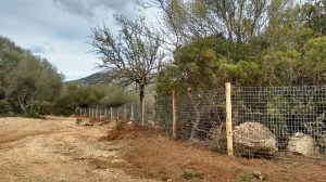 Baunei, Golgo, recinzione (marzo 2018) - Copia