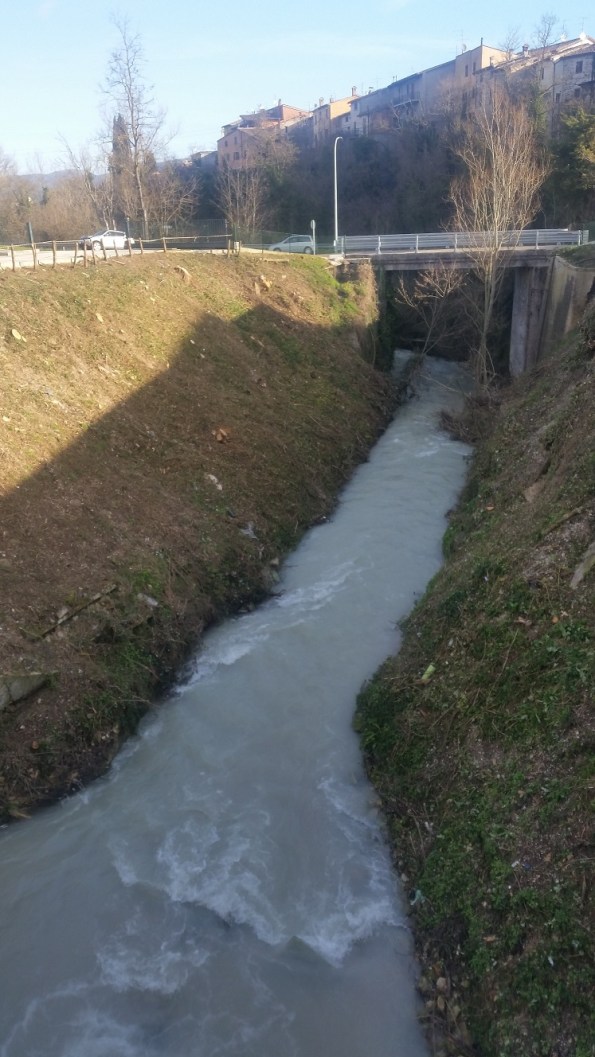 Matelica, Fiume Esino, taglio alberi, feb. 2018 - Copia