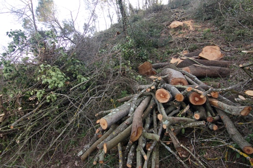 TaglioCastelromano2018MarsTrigoria10 447 - Copia