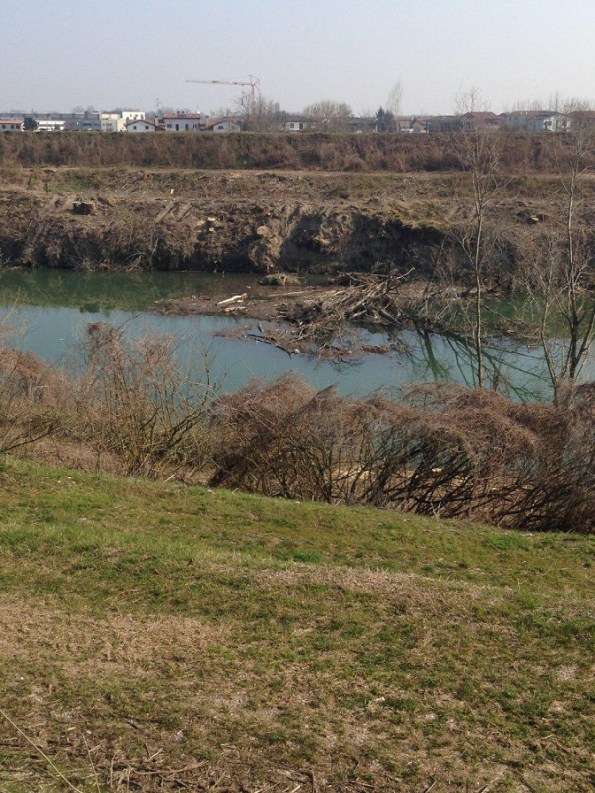 Vigonovo, sponde del Fiume Brenta dopo il taglio della vegetazione riparia (marzo 2018)