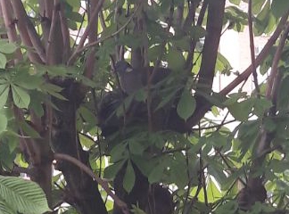 Poggibonsi, Piazza Mazzini, nido