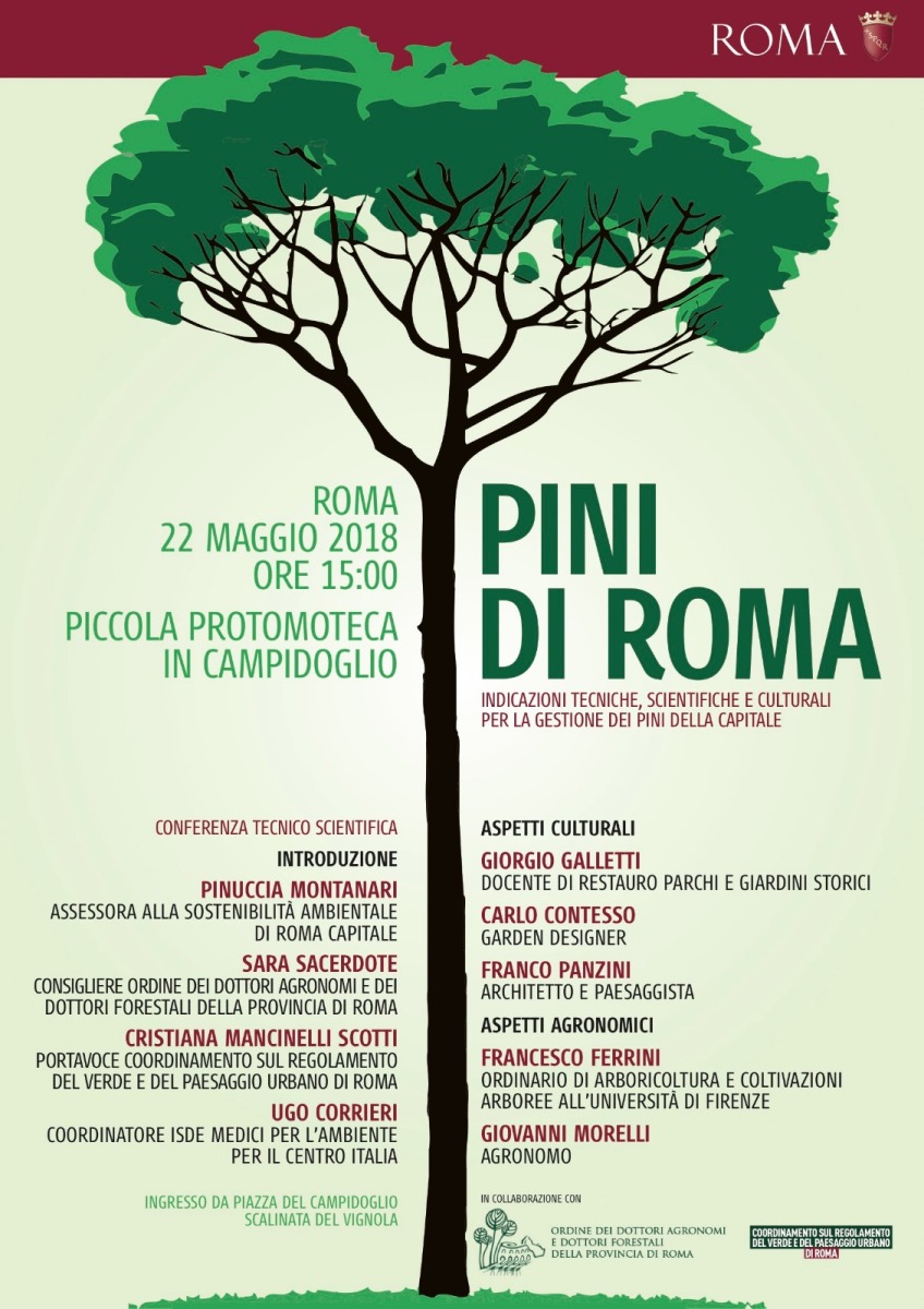 conferenza su I Pini di Roma