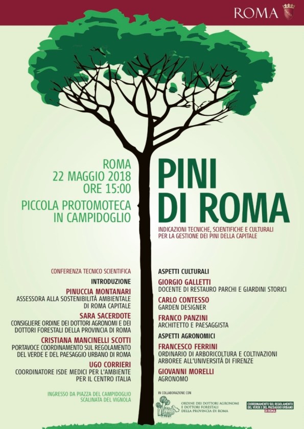 conferenza su I Pini di Roma