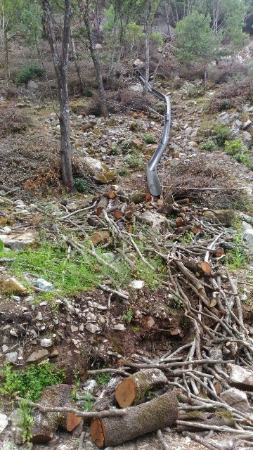 Fluminimaggiore, Arenas, Canale Fridu, tagli boschivi (giugno 2018) - Copia