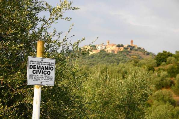 demanio civico Montepescali