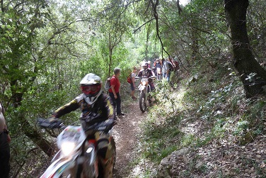 Domusnovas 03.10.2018 GRIG) - Copia