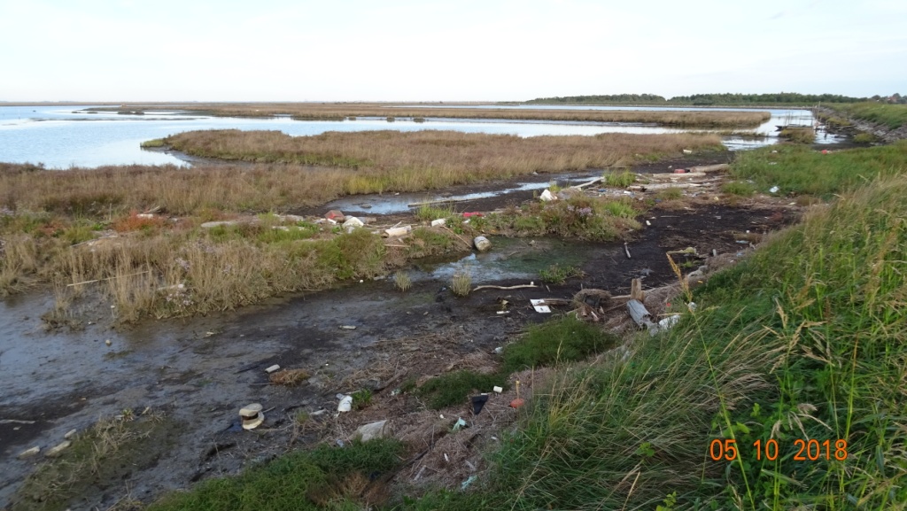Laguna veneta (fra Codevigo e Chioggia), rifiuti vari.jpg
